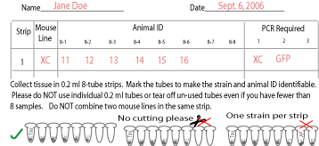 GeneTyper - mouse genotyping service order